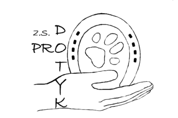 website template image